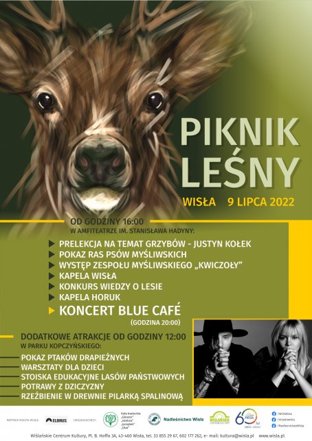 Piknik Leśny w Wiśle